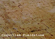 Coquitlam Fieldstone stamp pattern